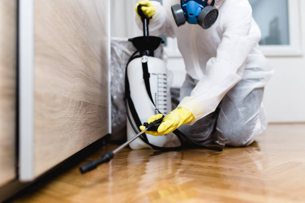 Best Best Pest Control Companies  in Mcconnelsville, OH