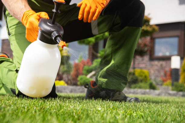 Best Affordable Pest Control Services  in Mcconnelsville, OH