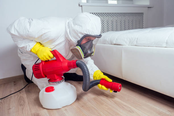 Best Local Pest Control Services  in Mcconnelsville, OH