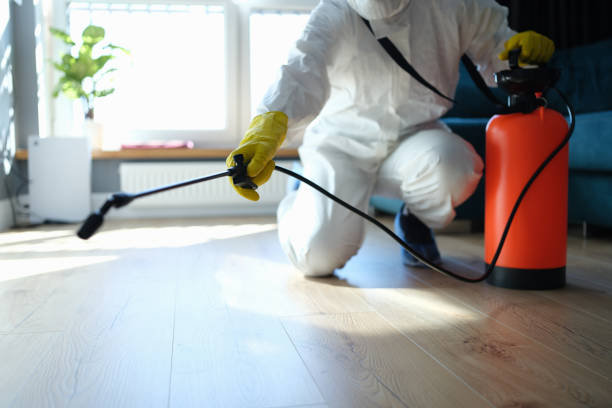 Best Affordable Pest Control Services  in Mcconnelsville, OH