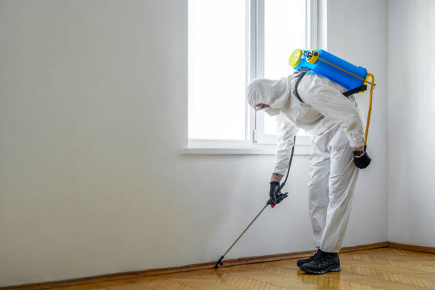 Best Pest Inspection Near Me  in Mcconnelsville, OH