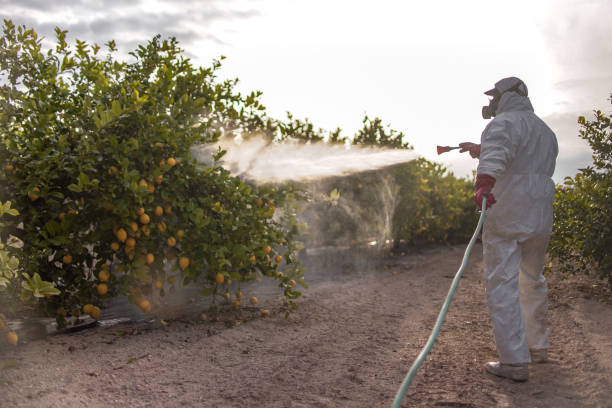Best Pest Removal Services  in Mcconnelsville, OH