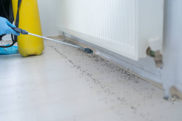 Pest Control Cost in Mcconnelsville, OH