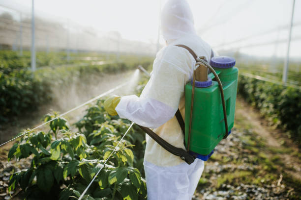 Best Termite Control Services  in Mcconnelsville, OH